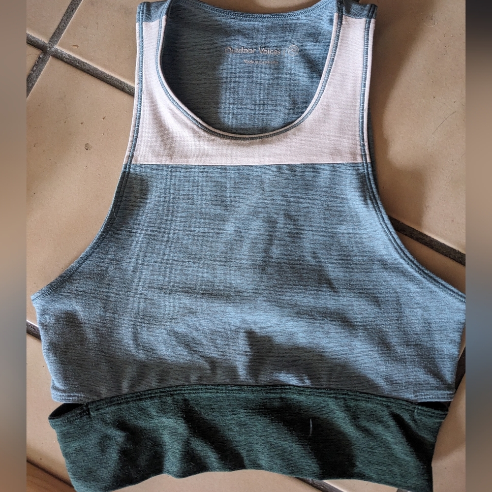 Colorblock Sports Crop